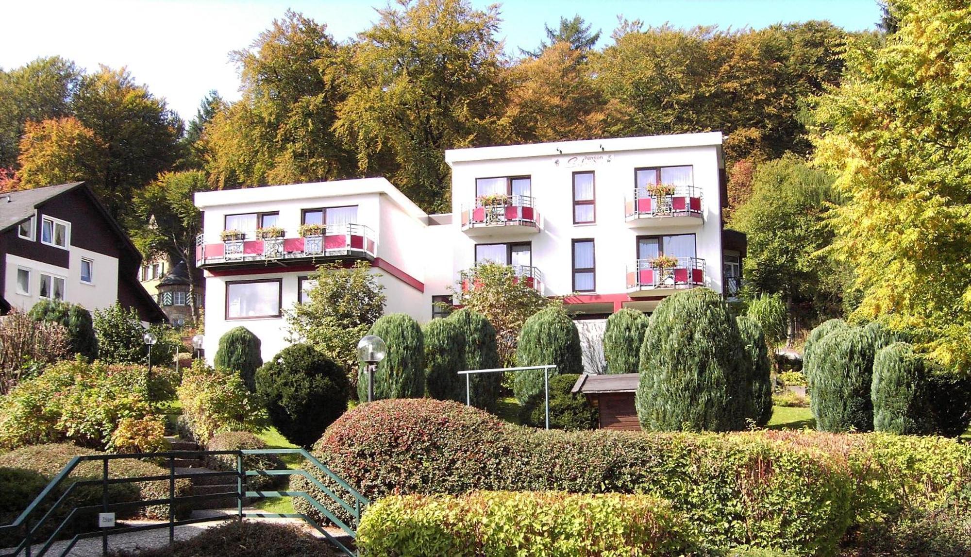 Hotelpension Schroeder Willingen  Exterior foto